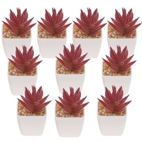多肉植物 棚」の人気商品一覧 | 安い商品を通販サイトから探す - 価格.com